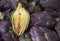 Food background. Green and purple Italian Artichokes