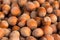 Food background of hazelnuts. Fresh filbert close-up