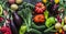 Food banner dark background. Fresh eggplants tomatoes, radishes, peppers, broccoli, potatoes, beets - fresh vegetables, top view.