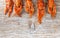 Food banner. Delicious boiled crawfish on wood background. Copy space