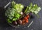 Food basket with fresh garden vegetables - beets, broccoli, eggplant, asparagus, peppers, tomatoes, cabbage on a dark table