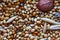 Food for birds. Food for parrots for every day. Close up Seeds of cereals. Canary seed. Abstract background