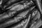 Food : Black and white close up of fresh sardines. 2