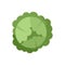 Food cabbage icon flat isolated vector