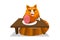 Food for cats and pets. A cute red cat sits at a table, licks its lips and look at the ham that lies in front of him on a plate.