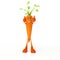 Food character - carrot