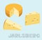 Food Cheese Type Jarlsberg Vector Illustration