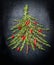Food Christmas tree made of fresh rosemary and red chili on dark background