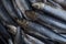 Food : Close up of fresh sardines. 7