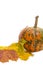 Food Concepts. Closeup of Natural Yellowish Pumpkin with Long St