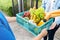 Food Deliver Asian man in blue uniform give fruit and vegetable to receiver customer front house