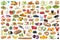 Food and drink collection collage healthy eating fruits vegetables fruit drinks isolated