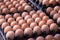 Food - Eggs on panel package group in market