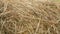 Food for farm animals for the winter. Close up shot of stacked golden hay.