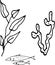 Food fish shellfish crabs delicacies. Graphic illustration hand-drawn