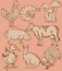 Food flavor icons set: farm animals