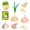 Food from garlic, seasoning spices or vegetable