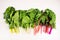 Food gradient of organic rainbow chard: spray-free leafy greens