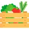 Food grocery vegetable market box icon vector