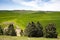 Food Growing Under Blue Sky Farm Field Palouse Country