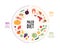 Food guide concept. Vector flat modern illustration. Paleo diet food plate infographic with percent labels. Colorful food icon set