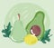 Food healthy nutrition vitamin fresh organic pear avocado and lemon