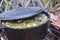 Food on a hike in a cauldron green soup