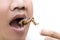 Food Insects: Man eating Cricket insect on wooden skewer. Crickets deep-fried crispy for eat as food snack, it is good source of