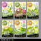 Food label set stickers collection vegetable labels spices package design. Broccoli, asparagus thyme dill arugula brussels sprouts