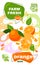 Food label template. vector illustration for organic orange milkshake fruit drink. natural bio fruits package design. ripe orange