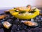 Food. mussels, vegetables, yellow plate, black background, ice