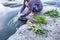 Food in nature, asian female washing wild edible plants in water stream, fresh fern and water spinach on the rock along a stream