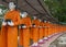 Food offering to a monk