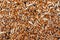 Food for parrots. Food for birds  for every day. Close up.  Seeds of cereals. Canary seed. Abstract background