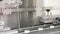 Food processing factory - bottle direction machine