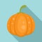Food pumpkin icon, flat style