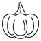 Food pumpkin icon, outline style