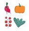 Food pumpkin tomatoes radish and lettuce nature icons