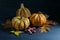 Food pumpkins or squashes and colored autumn leaves on a dark blue wooden background, seasonal arrangement for Halloween and