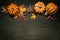 Food pumpkins or squashes with colored autumn leaves in a row on dark rustic wood with copy space, Thanksgiving and Halloween