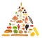 Food Pyramid