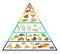 Food pyramid