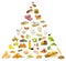 Food pyramid