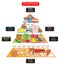 The food pyramid infographic diagram including different groups