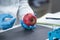 Food Safety Pesticide and Nitrate Testing of Apples in Laboratory