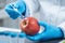 Food Safety Pesticide and Nitrate Testing of Apples in Laboratory