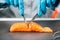 Food Safety and Quality Control - Testing Salmon Fish