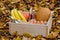 Food set: banana, eggs, nuts, pumkin, coffee, bread, oils in a wooden box against the background of autumn yellow foliage.