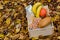 Food set: banana, eggs, nuts, pumkin, coffee, bread, oils in a wooden box against the background of autumn yellow foliage.