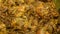 Food stock footage of Chicken curry preparation